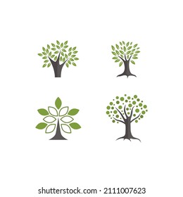 Tree illustrations set on transparent background