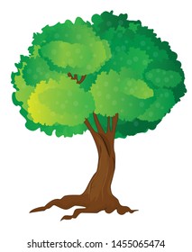 Tree image on a white background