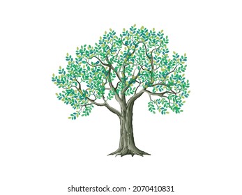 Tree image vector illustrations. plant and environment