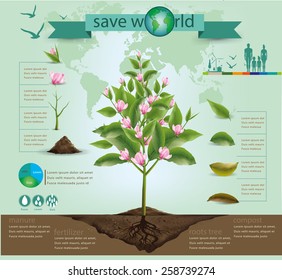 tree infographics.vector