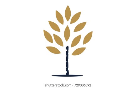 Tree Investment Fund 