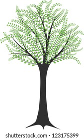 tree isolated against a white background