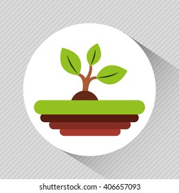 tree isolated design 