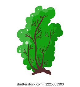Tree isolated illustration on white background