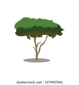 tree isolated nature symbol or icon, concept green.