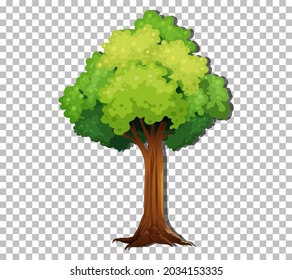 Un árbol aislado en una ilustración de fondo transparente