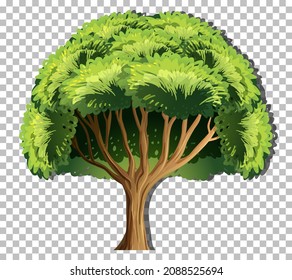 A tree isolated on transparent background illustration