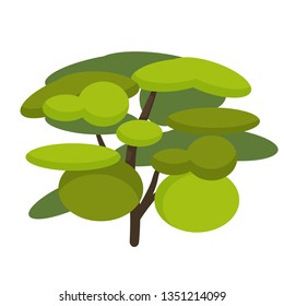 Tree isolated on whie background. Tree in cartoon style. Green leafs.