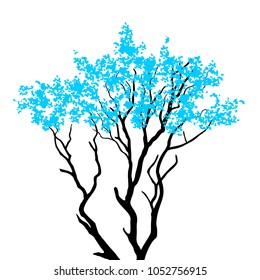 Tree isolated on white background