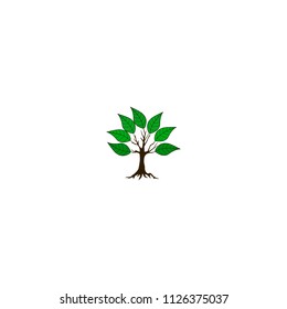 tree isolated on white background, vector.