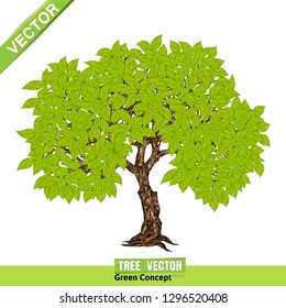 Tree Isolated on White Background
