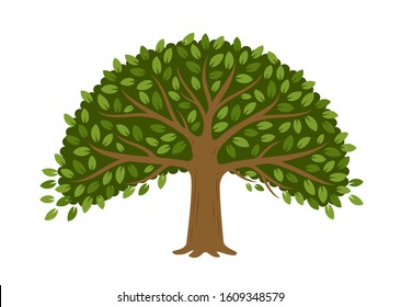 Tree isolated on white background. Vector illustration