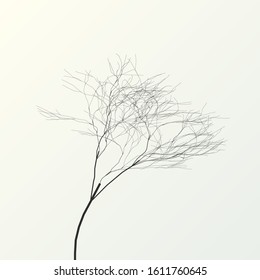  tree isolated on white background