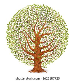 Tree isolated on white background. Vector illustration.