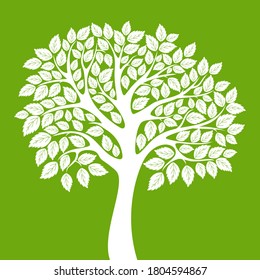 Tree isolated on white background. Vector illustrations