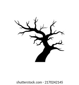 Árbol aislado en fondo blanco
