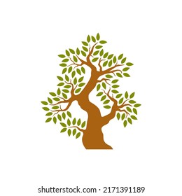 Tree isolated on white background