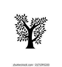 Árbol aislado en fondo blanco