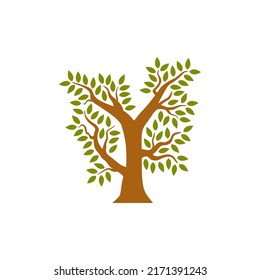 Tree isolated on white background