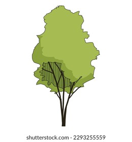 Árbol aislado sobre fondo blanco. Símbolo de elemento de árbol para el dibujo de arquitectura y diseño de paisaje. Ilustración vectorial.