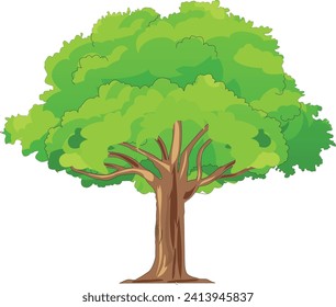 Tree isolated on white background