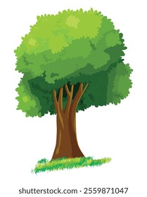 Tree isolated on white background