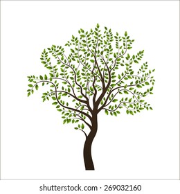 Tree isolated on white background