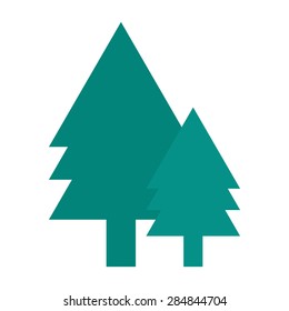 Tree isolated on white background. Spruce.