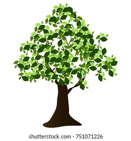 Tree isolated on white background, Vector illustration