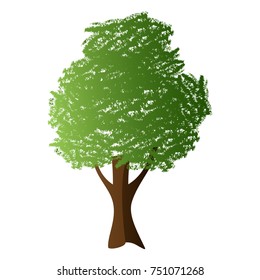 Tree isolated on white background, Vector illustration