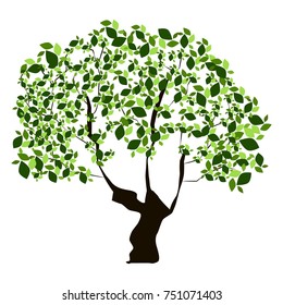 Tree isolated on white background, Vector illustration