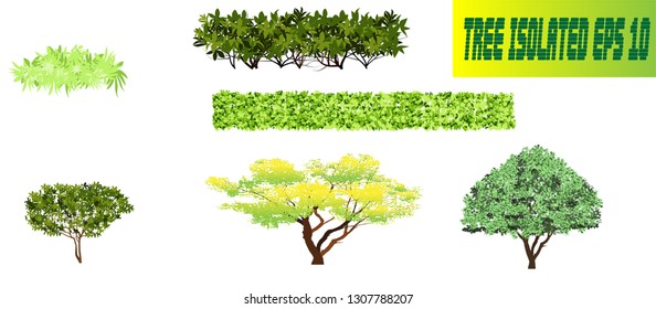Tree isolated on white background(EPS 10)