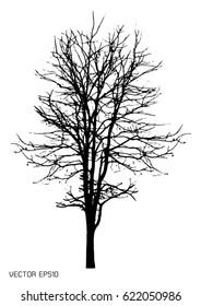 tree isolated on white. Vector