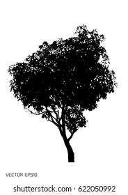 tree isolated on white. Vector