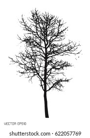 tree isolated on white. Vector