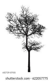 tree isolated on white. Vector