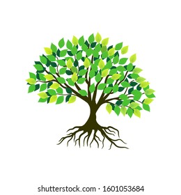 Tree with isolated roots on a white background. Illustration vector