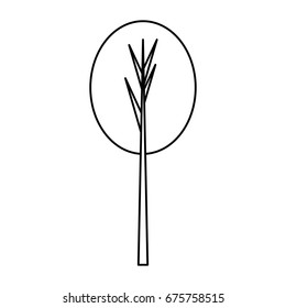 Tree isolated symbol