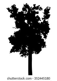 Tree isolated vector