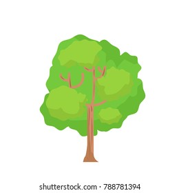 tree with isolated white background vector.Cartoon tree on white.Big plant vector illustration