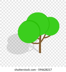 Tree isometric icon 3d on a transparent background vector illustration