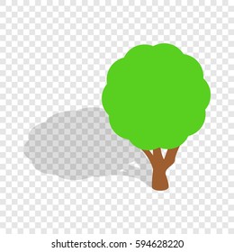 Tree isometric icon 3d on a transparent background vector illustration