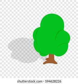 Tree isometric icon 3d on a transparent background vector illustration