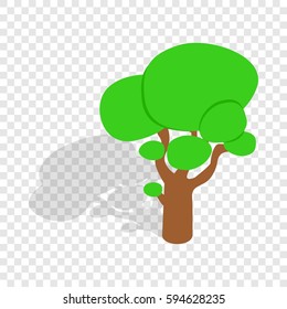 Tree isometric icon 3d on a transparent background vector illustration