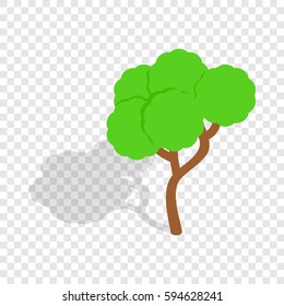 Tree isometric icon 3d on a transparent background vector illustration