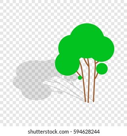 Tree isometric icon 3d on a transparent background vector illustration