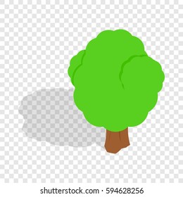 Tree isometric icon 3d on a transparent background vector illustration