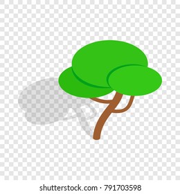 Tree isometric icon 3d on a transparent background vector illustration