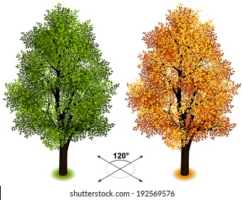 Tree. Isometric Trees In Vector 