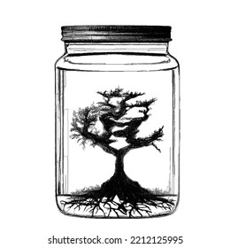 Tree in a jar. Doodle sketch. Vector illustration. Isolated on white background.